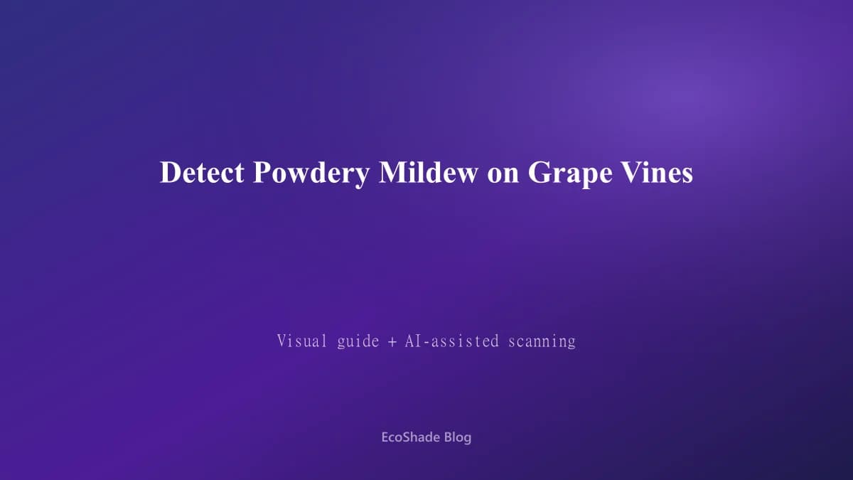 How to Detect Powdery Mildew on Grape Vines: Visual Guide